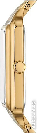 Наручные часы Fossil Raquel Three-Hand ES5304
