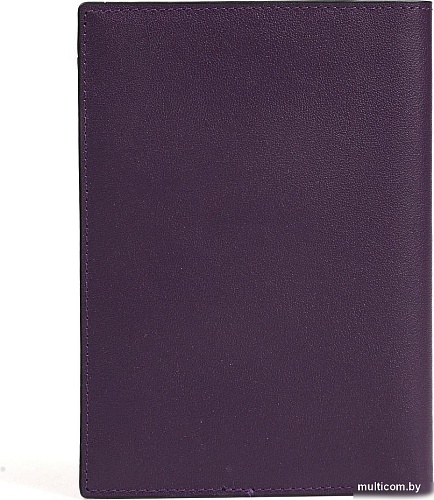 Обложка на документы Fabretti Q24019N-142