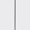 Подвесная люстра Ambrella light TR TR8421