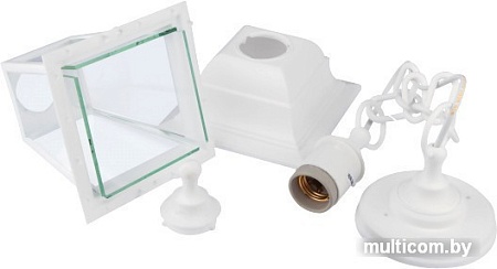 Уличный подвесной светильник ЭРА НСУ 04-60-001 Б0048107