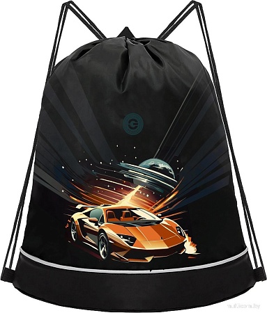 Мешок для обуви Grizzly OM-51-114 (черный/коричневый)