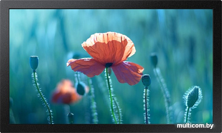 Samsung QB13R