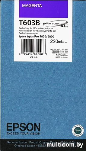 Картридж Epson C13T603B00
