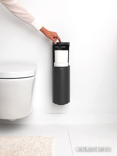 Держатель для туалетной бумаги Brabantia MindSet 303166