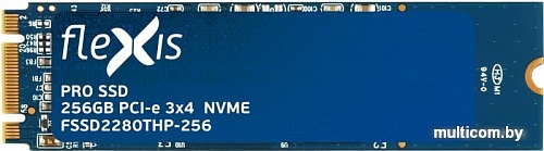 SSD Flexis Pro 256GB FSSD2280THP-256