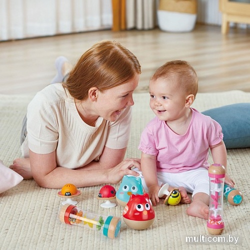 Развивающая игрушка Hape Неваляшка. Совенок E0111_HP (голубой)