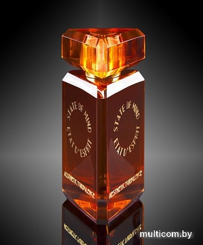 State of Mind Aesthetic Turbulence EdP (100 мл)
