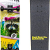 Скейтборд Plank Raccoon P22-SKATE-PACCON