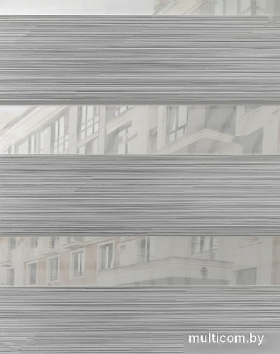 Шторы день-ночь Lm Decor ДН LB 21-02 64x215