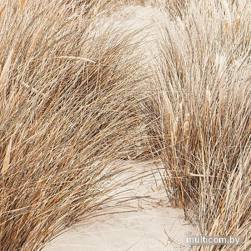 Картина Bergenson Bjorn Plant BB0000609