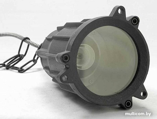 Подвесная люстра Lussole Loft LSP-9949