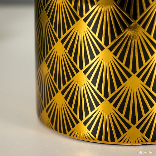 Торшер Risalux Биргит 7858340 (черный/золото)