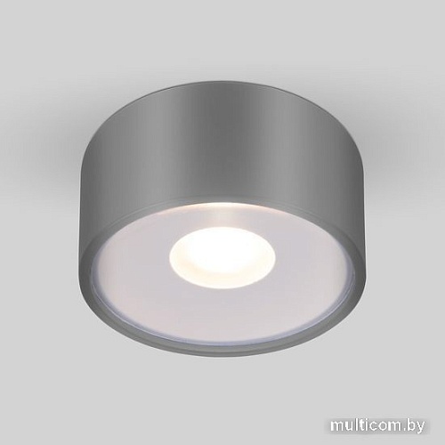 Уличный накладной светильник Elektrostandard Light LED 2135 35141/H (серый)