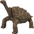 Фигурка Masai Mara Мир диких животных. Черепаха MM218-373