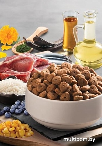 Сухой корм для собак BonaCibo Для взрослых собак всех пород ягненок и рис 4 кг