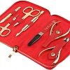 Набор для маникюра и педикюра Dewal 904RED (красный)