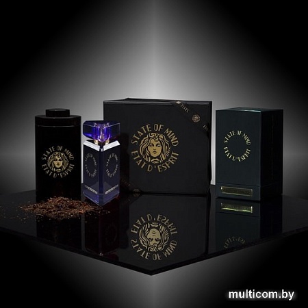State of Mind Creative Inspiration EdP (20 мл)