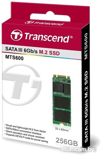 SSD Transcend MTS600 256GB (TS256GMTS600)