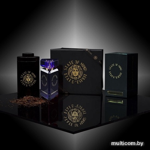 State of Mind Creative Inspiration EdP (20 мл)