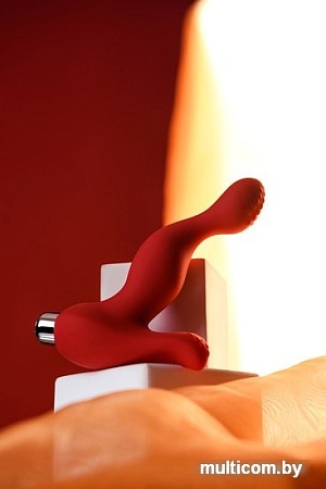 Вибропробка TOYFA Proman 359001