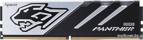 Apacer Panther 2x16ГБ DDR5 6400 МГц AH5U32G64C5527BAA-2