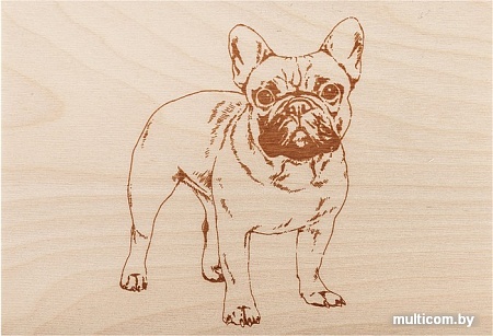 Доска для выжигания Rexant Набор №3 12-0938 (5 шт)