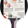 Ракетка для настольного тенниса Torres Sport TT21005
