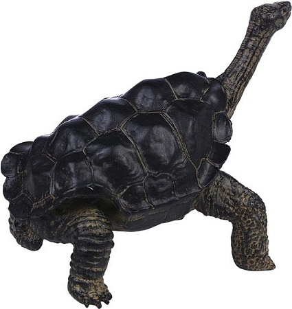 Фигурка Masai Mara Мир диких животных. Звезчатая черепаха MM218-372