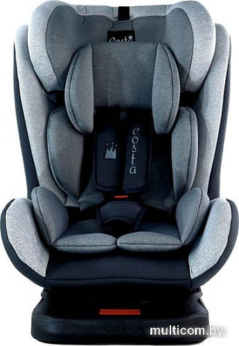 Детское автокресло Costa CS-002 Isofix YB104A (серый/темно-серый)