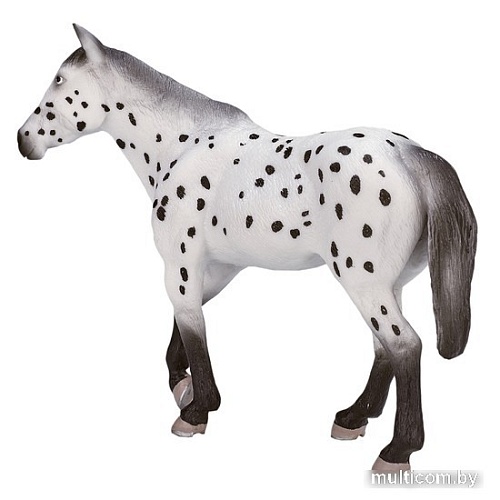 Фигурка Konik Аппалузский жеребец AMF1038