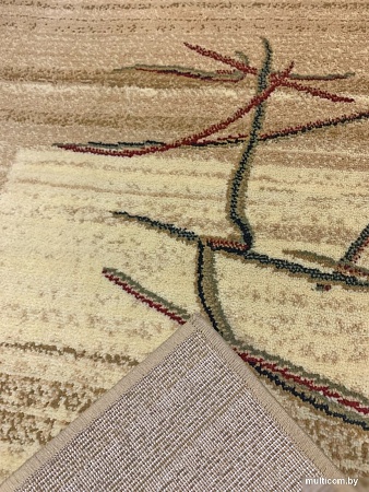 Ковер для жилой комнаты Moldabela Aquarelle Прямоугольник 255 1 41034 (0.8x1.6)