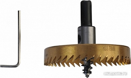 Коронка Sturm 1090-S04-BI-76