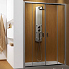 Душевая дверь Radaway Premium Plus DWD 150 (прозрачное стекло)