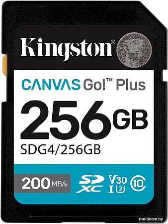 Карта памяти Kingston Canvas Go! Plus SDXC 256GB SDG4/256GB