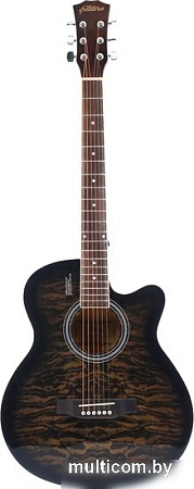 Акустическая гитара Elitaro E4030 BKS