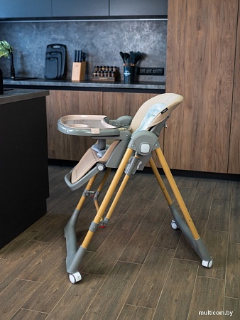 Трансформер Martin Noir Sirius+ (gold mangrove)