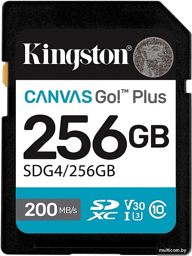 Карта памяти Kingston Canvas Go! Plus SDXC 256GB SDG4/256GB