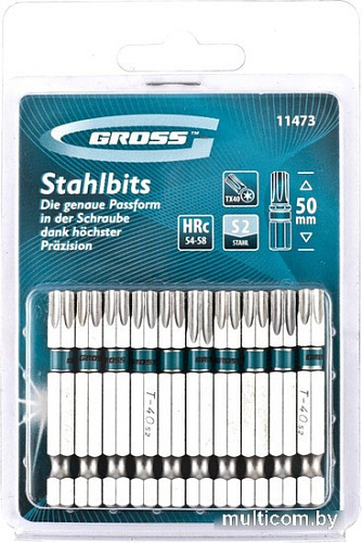 Набор бит GROSS 11473 (10 шт)