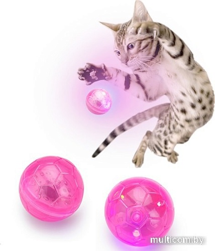 Игрушка для кошек D&D Home Flash Ball 409/422212