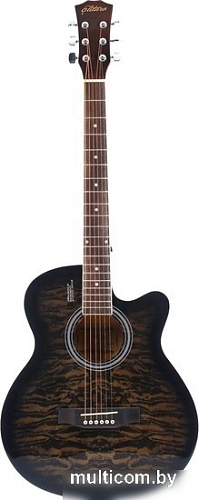 Акустическая гитара Elitaro E4030 BKS