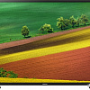 Samsung BE32R