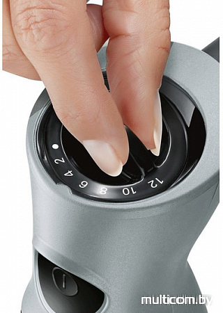 Погружной блендер Bosch MSM67150RU
