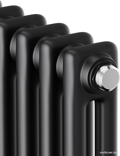 Стальной трубчатый радиатор Royal Thermo Insignia C2180 - 10 секций RAL9005m
