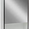 Doratiz Шкаф с зеркалом Doratiz Астра 50 R 2711.032 (белый/венге)