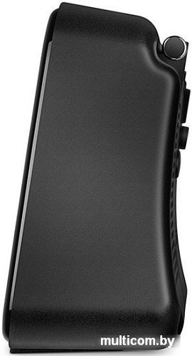 Часы SVEN SRP-100