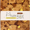 Подарочный набор Milota Box Capybara Box Mini MBS031