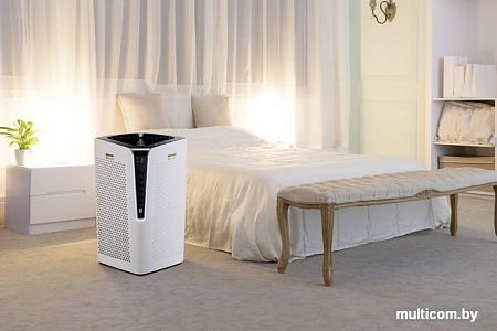 Очиститель воздуха Karcher AF 100 1.024-810.0