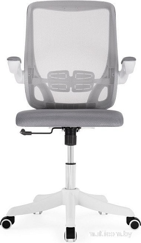 Офисное кресло Woodville Salem (серый/белый)