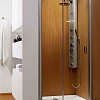Душевая дверь Radaway Premium Plus DWJ 150 [33343-01-01N]