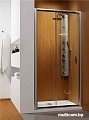 Душевая дверь Radaway Premium Plus DWJ 150 [33343-01-01N]